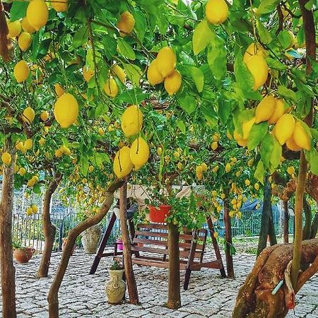 Willa Il Limoneto Degli Angeli Minori Zewnętrze zdjęcie