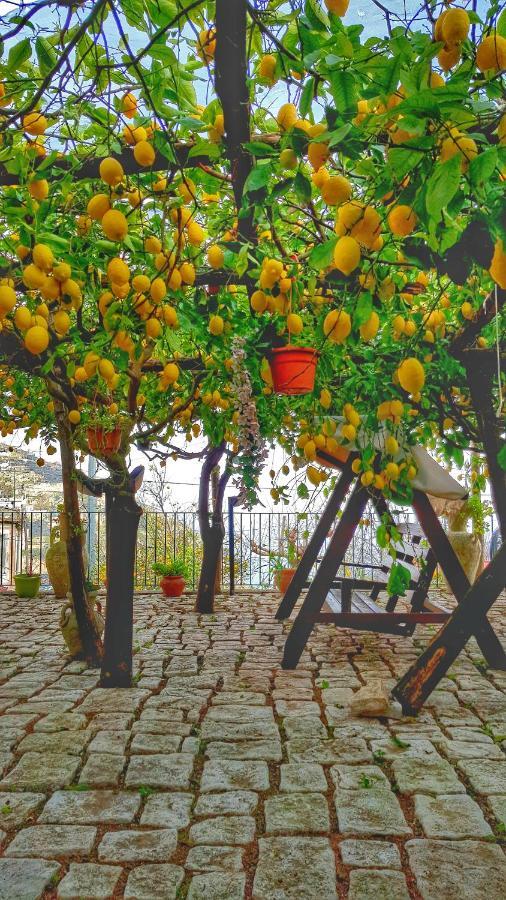 Willa Il Limoneto Degli Angeli Minori Zewnętrze zdjęcie