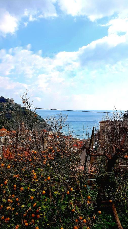 Willa Il Limoneto Degli Angeli Minori Zewnętrze zdjęcie