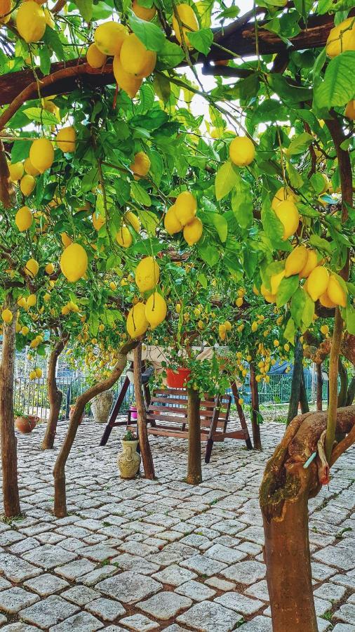 Willa Il Limoneto Degli Angeli Minori Zewnętrze zdjęcie