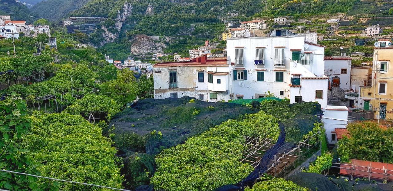 Willa Il Limoneto Degli Angeli Minori Zewnętrze zdjęcie