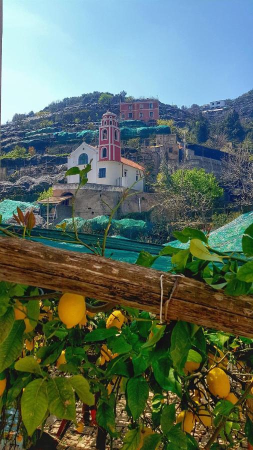 Willa Il Limoneto Degli Angeli Minori Zewnętrze zdjęcie