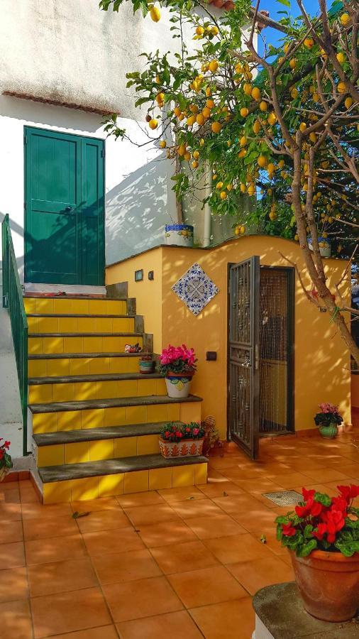 Willa Il Limoneto Degli Angeli Minori Zewnętrze zdjęcie