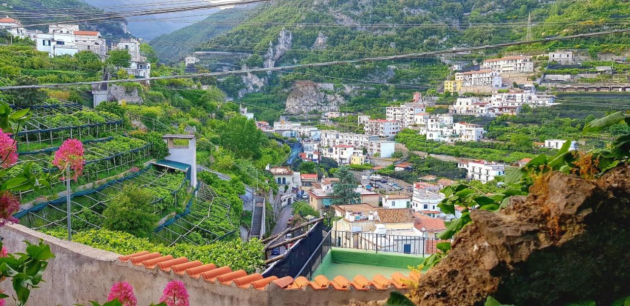 Willa Il Limoneto Degli Angeli Minori Zewnętrze zdjęcie