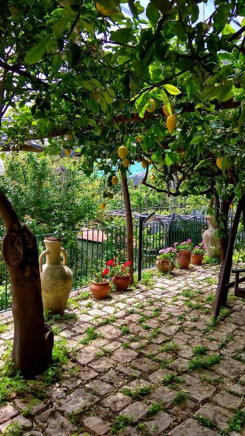 Willa Il Limoneto Degli Angeli Minori Zewnętrze zdjęcie
