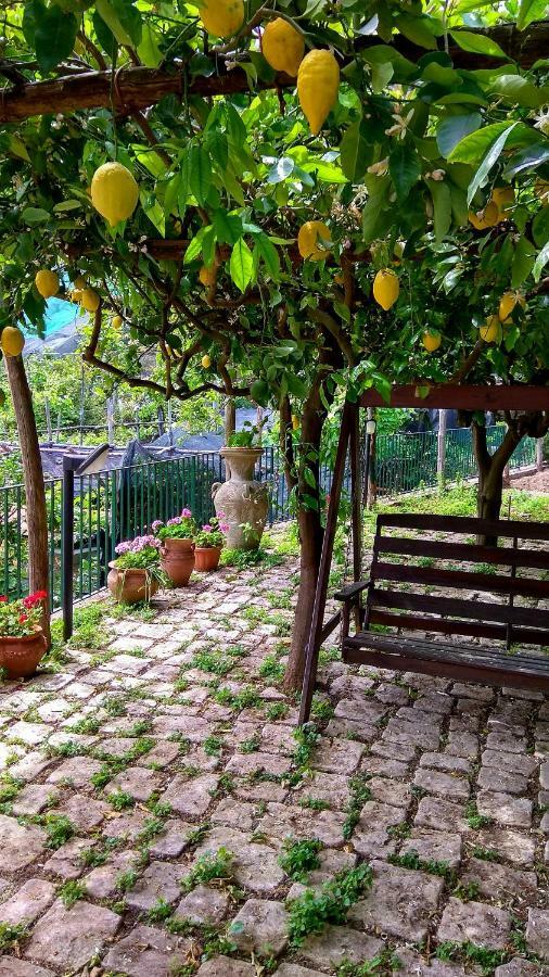Willa Il Limoneto Degli Angeli Minori Zewnętrze zdjęcie